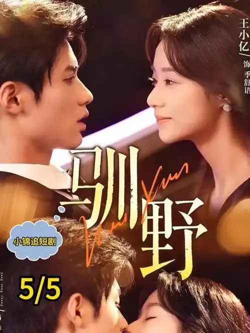 策驰影视 沉默的证词 悬疑律政剧集海报